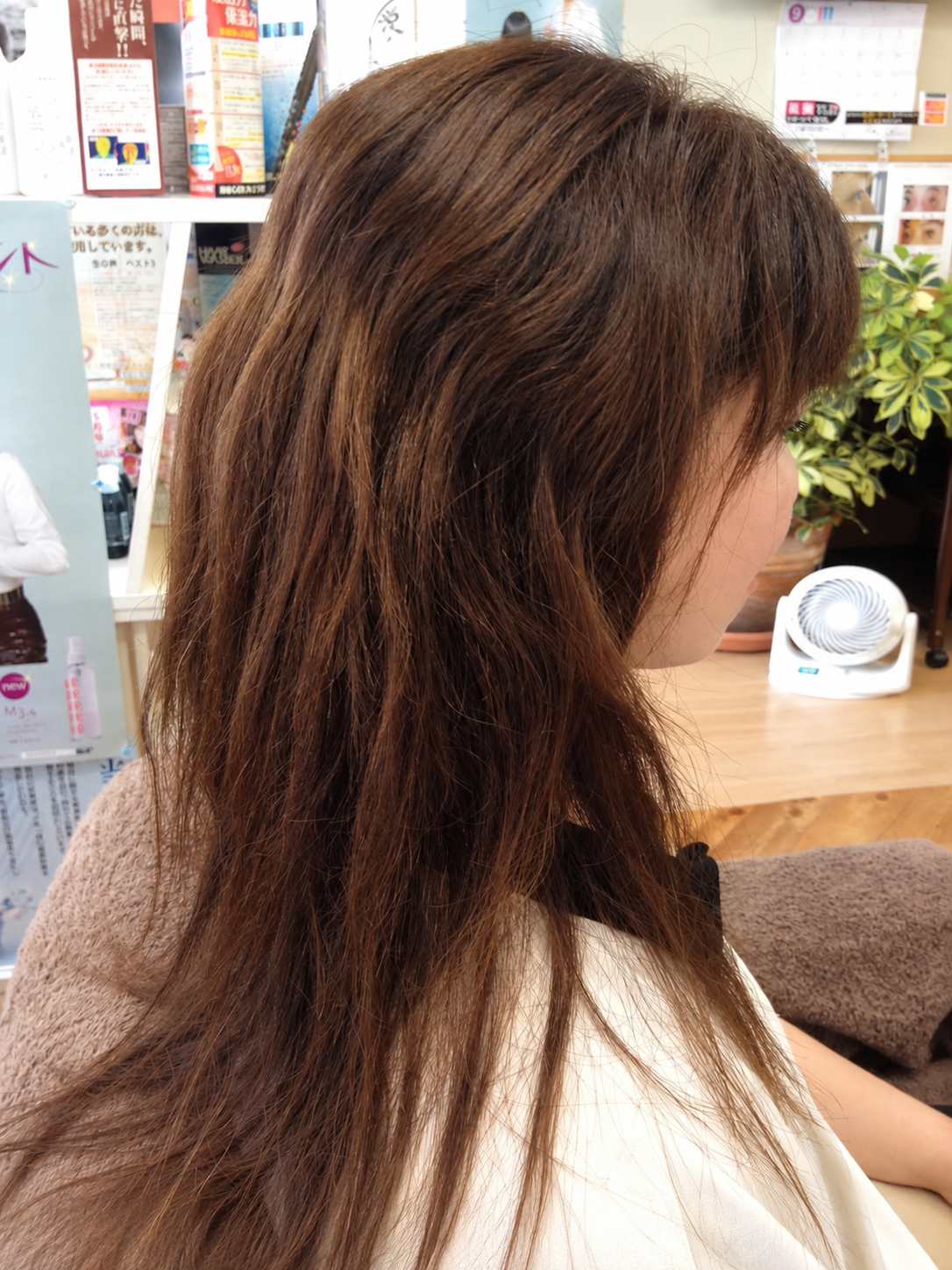 Before 施術前の髪